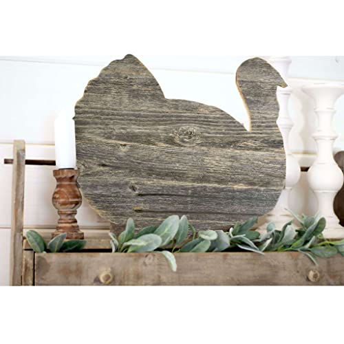 BARNWOODUSA Rustic Farmhouse Wood Turkey Fall Harvest Wall Décor for