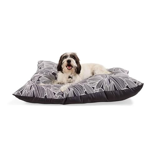 EveryYay Essentials Pillow Dog Bed 38