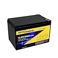SEFEPODER 12V 20Ah Lithium LiFePO4 Deep Cycle Battery, 4000 Cycles Rechargeable Battery for Electric Scooter, Ride On Toy, Lighting, Power Wheel, Fish Finder and More with Built-in 40A BMS