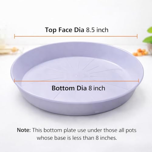 Image of Bird Feeder Hanging White Bowl Pack of 1 for Balcony & Garden | USE for Bird Water Feeder /Bird Bath Tray | Large Outdoor Hanging Bird Feeding Dish with Hook | Durable All Weather Plastic