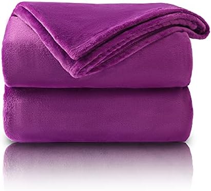 VOTOWN HOME Fleece Throw Blankets, Light Blue Sofa Throws Blanket for Bed, Soft Fluffy Flannel Couch Blanket Throw, Queen Size 220x240cm