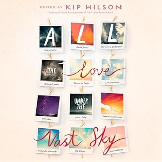 All the Love Under the Vast Sky cover art