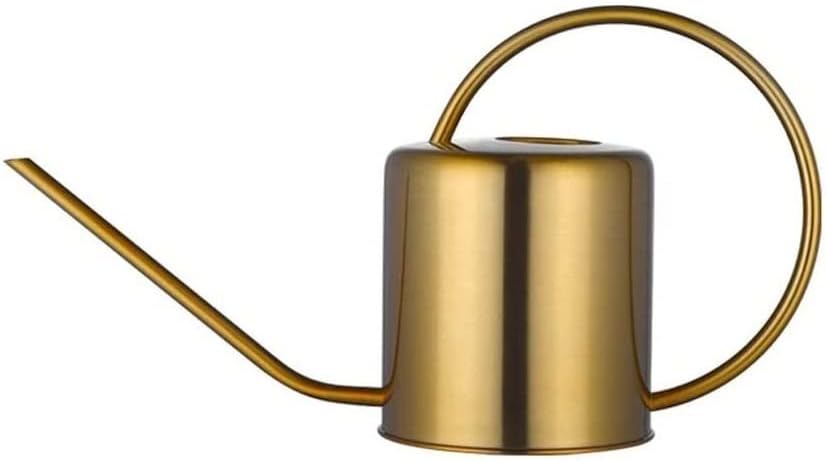 Watering Can Water Can Sprinkling Can Stainless Steel Watering Pot Gardening Potted for Watering Plants Flower Sprinkling Can Watering Can Indoor Plants(Silver,1L)