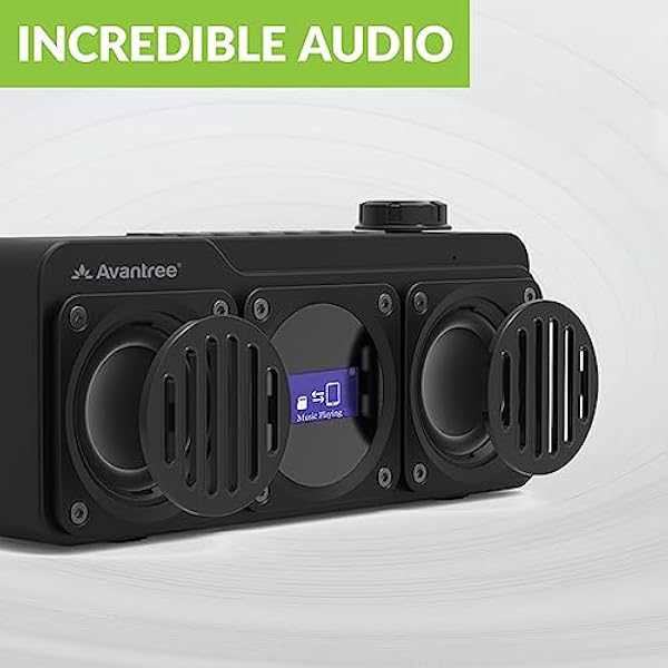 Avantree Boombyte - Radio FM Portatile 4 in 1 & Altoparlante Bluetooth con Doppio Driver (14W), Volume Potente, Suono Stereo, Lettore Micro SD e Porta USB, Lettore MP3 Ricaricabile