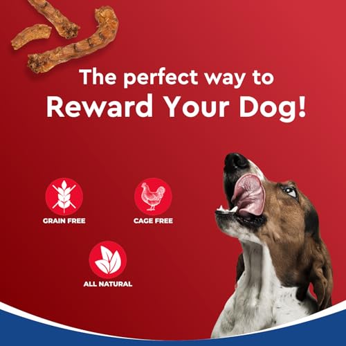 Image of Drools Dog Treats, Dehydrated Real Chicken Chews Necks, 70g, All Life Stages, Bone
