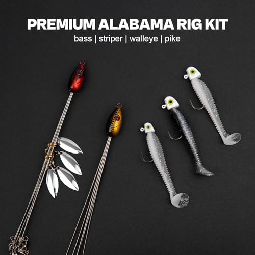 Image of Alabama Rig (A-Rig) Fishing Lures Kit - 2 Rigs, 10 Jig Heads & Swimbaits, Tackle Box for Striper /Bass Fishing