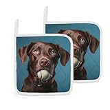 Pot Holders Set of 2 Kitchen Heat Resistant Potholders Chew Toy Dog Pot Holders Cotton Lining Oven Hot Pads for Cooking Baking BBQ Microwave Kitchen Accessories