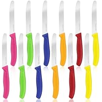 Sprifityy 12 piezas Cuchillos de Mesa, Cuchillos Carne Mesa con