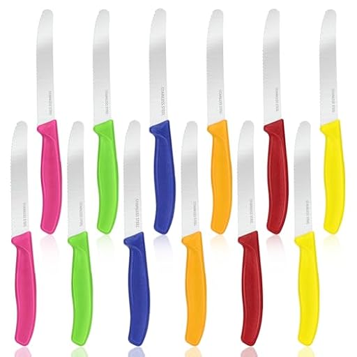 Sprifityy 12 piezas Cuchillos de Mesa, Cuchillos Carne Mesa con Filo Dentado y Hoja de 11 cm, Cuchillo Carne Acero Inoxidable, Cuchillo Sierra para El Hogar y El Restaurante, Lavable (Color) | Ya disponible en tu tienda friki favorita! En mundofriki.es!