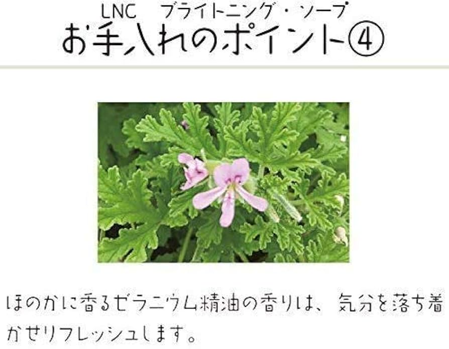 Amazon | LNC ブライトニング ソープ | LNC | 洗顔せっけん 通販