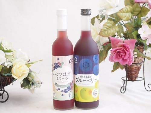 ぶどうを使った果物酒2本セット 奥の松 なつはぜふるーてぃ6度 (福島県) 中野BC 紀州の梅酒とブルーベリー12度 (和歌山県) 500ml×1本 720ml×1本