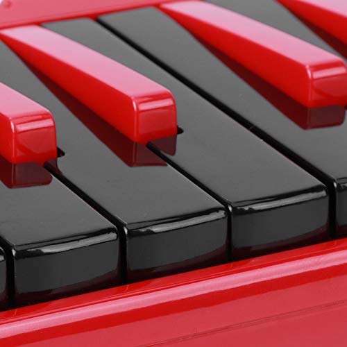 Best Melodicas Buying Guide Gistgear