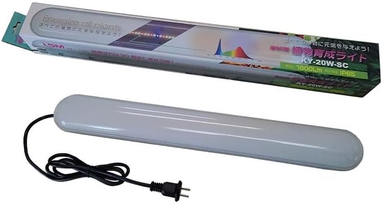 フォルツァZ MF08 走行28100km (No.2055)