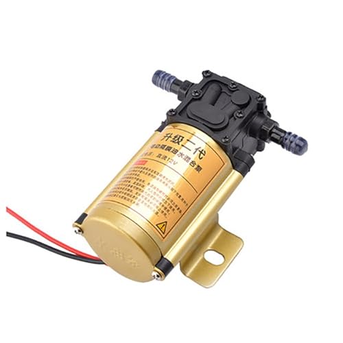 Bomba de transferencia de combustible de 12V y 5 l/min para gasolina y aceite