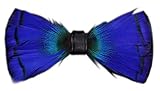 Secdtie Bright Blue Mens Woven Chic Gifts Prom Bowtie Butterfly Pre-Tied Tuxedo Bow Ties