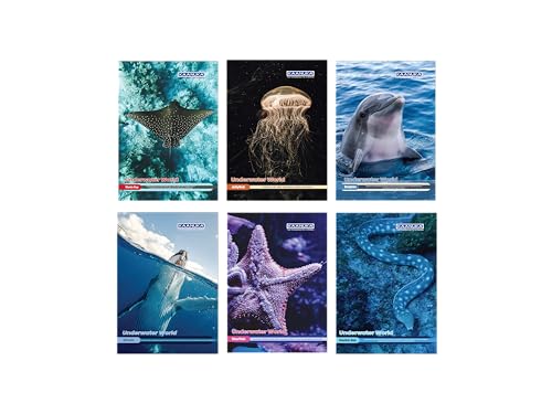 Image of KAANUKA Long Size Notebook - 256 Pages, Ruled, Single Line, Long Size - 27.2cm X 16.7cm, Pack Of 6 Notebooks, Long Size Single Line Notebooks for School and College Students