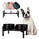 Futternapf Hund Erhöht Hundenapf Set - Doppelte Fressnapf Keramik mit Edelstahlständer - Ideal für Kleine und Mittelgroße Hunde - 850 ml x 2 - Schwarz