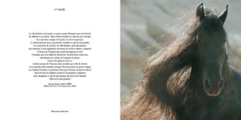 Hardcover Chevaux au jour le jour [French] Book