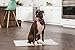 IRIS Neat 'n Dry Premium Pet Training Pads, Extra Large, 23.5