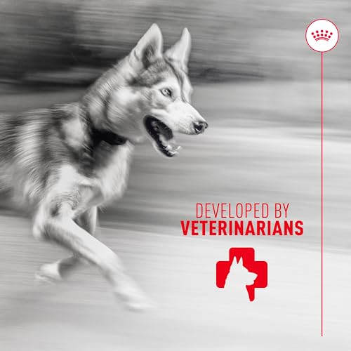 Royal Canin Joint Dog Supplement Soft Chews for Adult Dogs, 60 Count - image 8