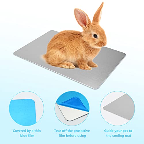 Hileyu Kühlmatte für Kleintiere Kaninchen Meerschweinchen Hamster Kühlkissen Schlafbetten für Kleintier Welpe Katze Hase (30 * 20cm/11.8 * 7.8in)