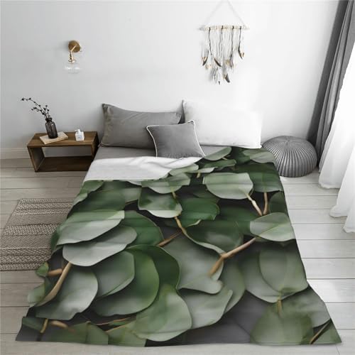 Couverture polaire chaude lit canapé plaid doux imprimé eucalyptus