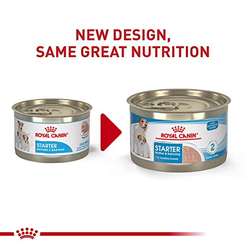 Royal Canin Size Health Nutrition Starter Mother & Babydog Mousse In Sauce Wet Dog Food, 5.1 Ounce (Pack Of 24) #TOP1
