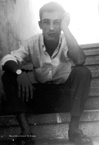 Filastin. l'arte di resistenza del vignettista