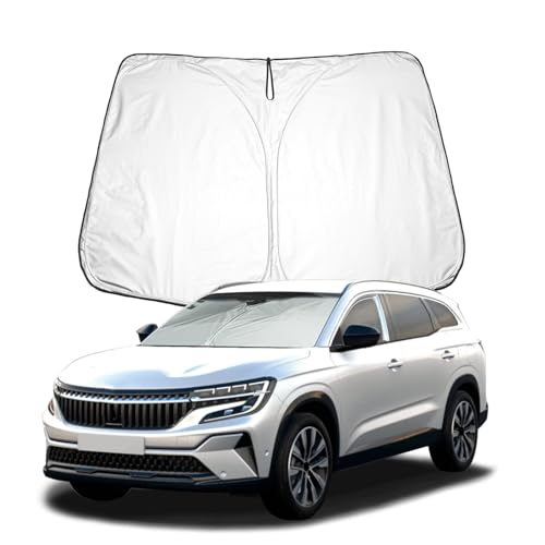 BIXUAN Sonnenschutz kompatibel mit Renault Espace MPV 2016-2022