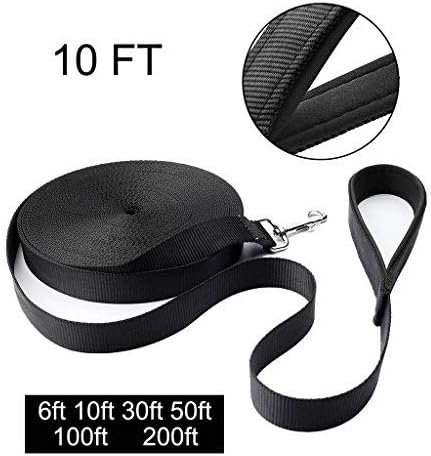 Hi Kiss 6FT 10FT Nylon Dog Leash, Strong and Durable Traditional Style Leash with Easy to Use Collar Hook, 10FT Black