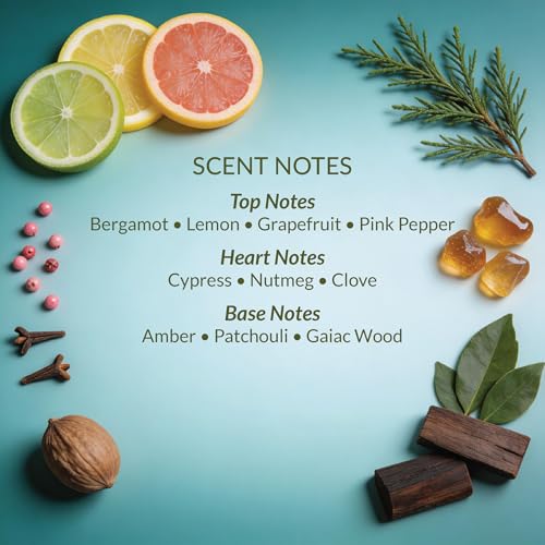 Image of HVNLY Charm Eau De Parfum For Men | Long Lasting Luxury Perfume |Bergamot, Nutmeg, Patchouli | Best Gift For Anniversary, Birthday, Wedding | Office Wear, Casual Wear | 15 ml