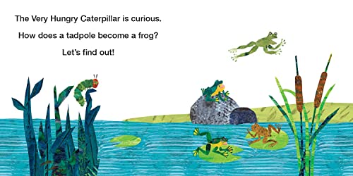 How Does a Tadpole Grow?: Life Cycles with The Very Hungry Caterpillar (The World of Eric Carle) - Image 2