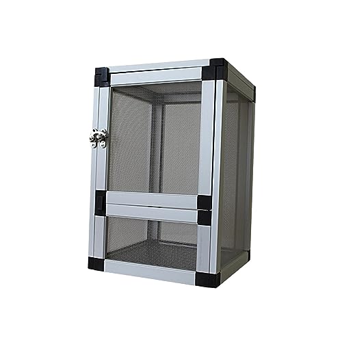 ঒��ރP�[�W ���甠 �� �N�� �A�� �y�b�g ঒��� �����n �V���o�[