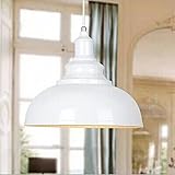WINSOON 1PC Modern Style Metal Ceiling Lamp Wall Vintage Loft Pendant Light Retro Industrial (White)