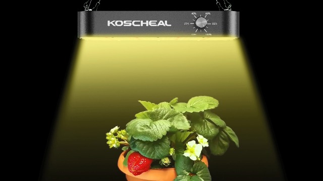 KOSCHEAL KC800 LED Grow Light,80W Full Spectrum Led Grow Lights