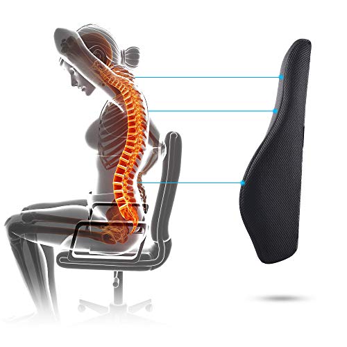 El mejor review de Silla ortopédica los diez mejores. 12 Imagen adicional