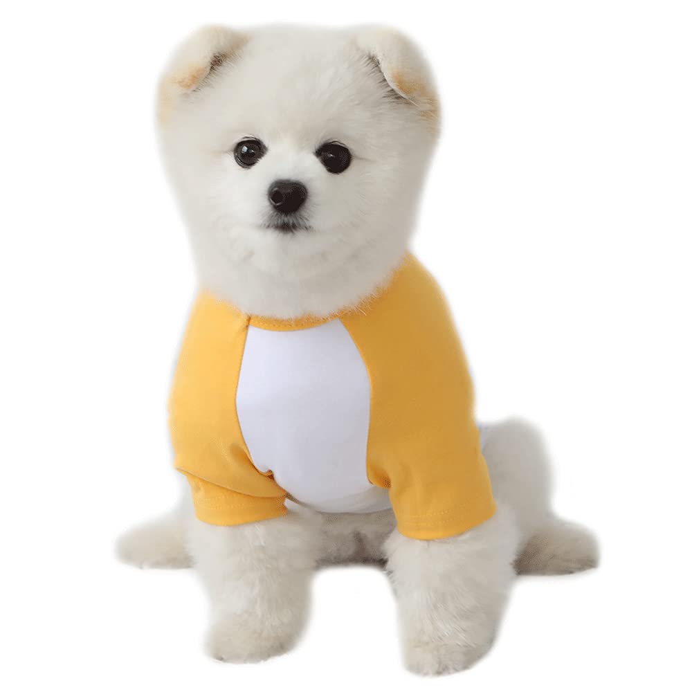 T-shirt pour chien et chat Raglan jaune pour les balades au parc en taille L
