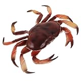 LALADEFIEE de Cangrejo Simulado Realista de Plástico Figura Educativa y Decorativa para Jardín Aula y Hogar Adorno Animal Marino Artificial