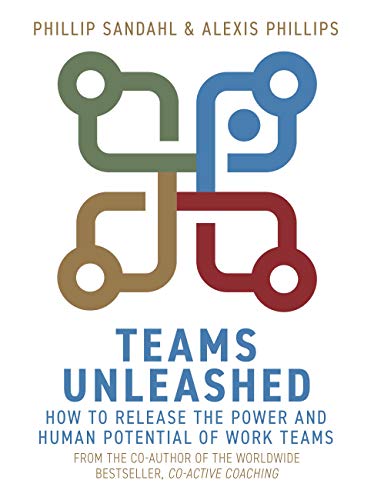 Teams Unleashed view 2