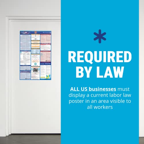 2023 Florida State & Federal Labor Law Poster - Osha Workplace Compliant & Required - Current With Mandatory Updates For 2023 - Uv Laminated & Waterproof - 25" X 39" (English) #TOP3