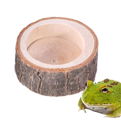 リクガメ用ウォーターディッシュ - 爬虫類用食器 | 自然木デザインの餌入れ兼用容器 オオトカゲ カメ ヒゲトカゲ カニ 蛙用 水槽装飾