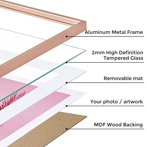 8X10 Metal Picture Frame- 8X10 Aluminum Photo Frames With 5X7 Mat, Tempered Glass Front, And Hanging Hardware - Ideal For Wall Or Tabletop Display - Premium Metal Picture Frame Collection(Rose Gold, Pack Of 1) #TOP3