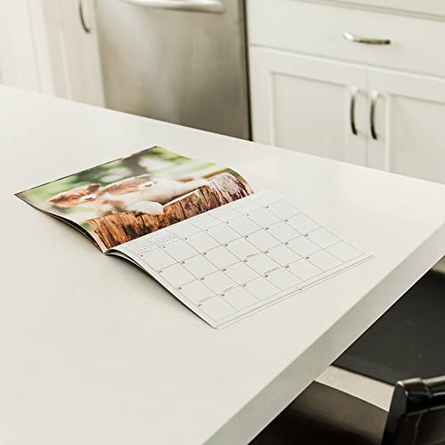 2023 Puppies Dogs Monthly Wall Calendar With Four Bonus Months From 2022 16-Month Calendar Starts In September 2022 Until December 2023 12" X 24" (When Open) 12" X 12" (When Closed) Thick Sturdy Paper #TOP5