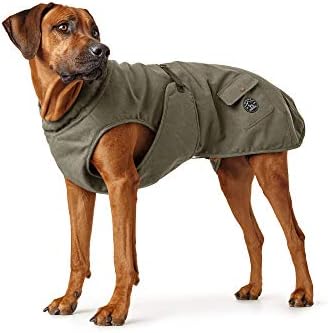 hunter dog coat