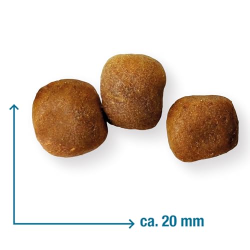 Wildsterne Ente & Kartoffel Junior 15 kg| Getreidefreies Trockenfutter | Monoprotein | von Tierärzten entwickelt