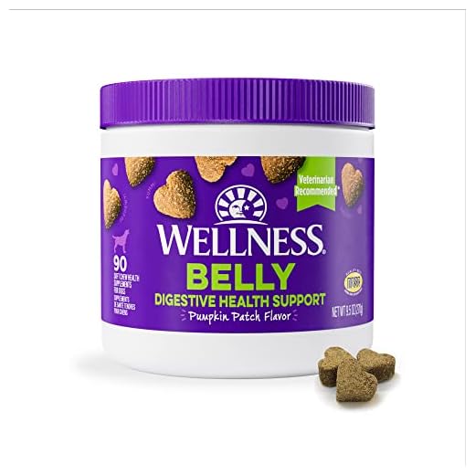 Wellness Pumpkin Patch Flavored Soft Chew Digestive Health Supplements for Dogs, 90 Count