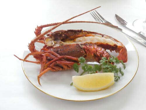 出産 結婚の内祝い(お祝い返し) に 【特選ギフト】 徳島 吟月 天然 冷凍 伊勢海老 (SK)軽