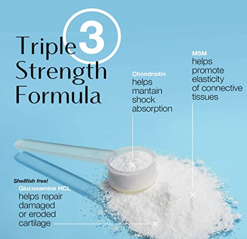 Neoflex-Bone-Joint-Health-Powder-Supplement-MSM-Glucosamine-Chondroitin-Triple-Strength-Formula-30-Scoops-Canister