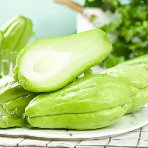 semillas de chayote 10pcs