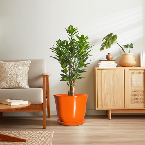 Pots pour plantes d'extérieur et intérieur avec trou de drainage - 8